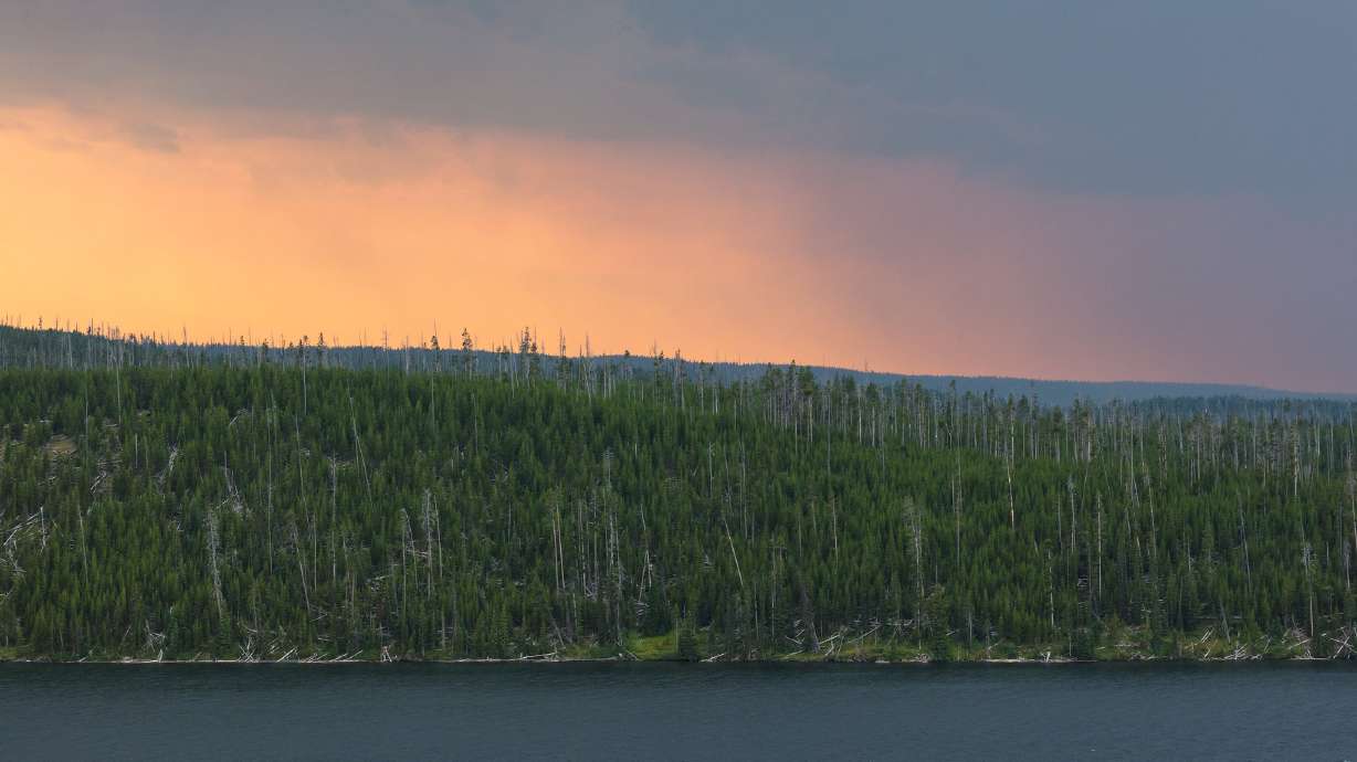 Search and recovery efforts for an Ogden man are still underway, though, scaled back, Yellowstone National Park officials said Saturday.