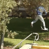 Have You Seen This? Scooter rail grind defies gravity