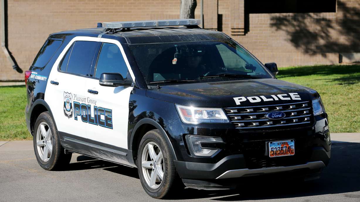Pleasant Grove police say that they arrested a man in relation to an armed robbery reported Saturday night.