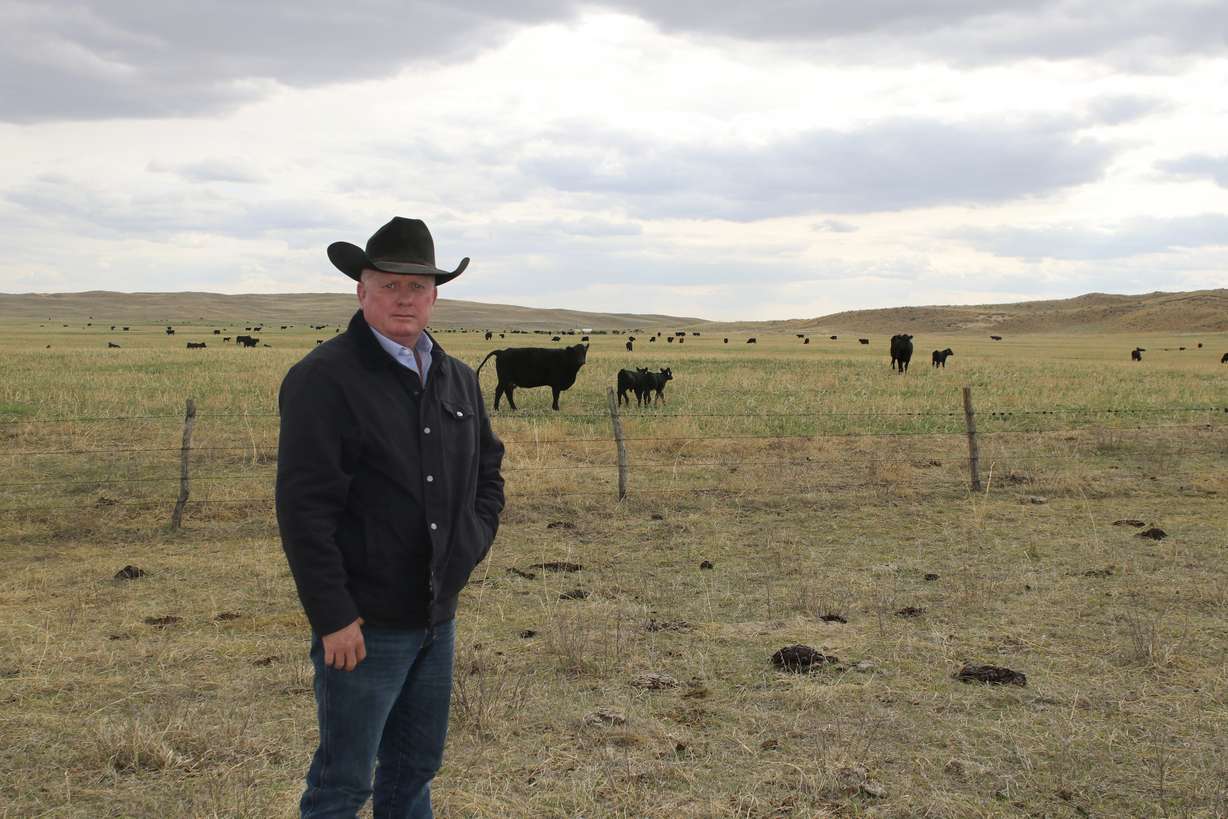 Rancher Rusty Kemp poses near grazing cattle on his Pioneer Ranch in this undated photo northwest of Tryon, Neb. Kemp has led an effort to raise more than $300 million from ranchers to build a processing plant for themselves, putting their future in their own hands. Crews will start work this fall building the Sustainable Beef plant on nearly 400 acres near North Platte, Nebraska, and other groups are making similar surprising moves in Iowa, Idaho and Wisconsin.