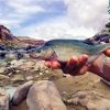 US formally removes Colorado River fish's endangered status