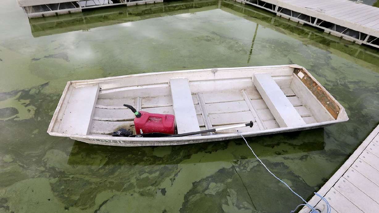 Algal blooms are pictured in Utah Lake at the Lindon Marina in Vineyard on Monday, July 19. Utah Lake is both
criticized and praised. The twin personality of one of the largest freshwater lakes west of the Mississippi sets the stage for
political conflict, controversy over the environment and how best to manage it for not only decades to come but over hundreds of years.