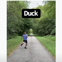 Have You Seen This? How animals would run if they were humans