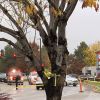 Police: 2 dead, 4 injured in Boise mall shooting