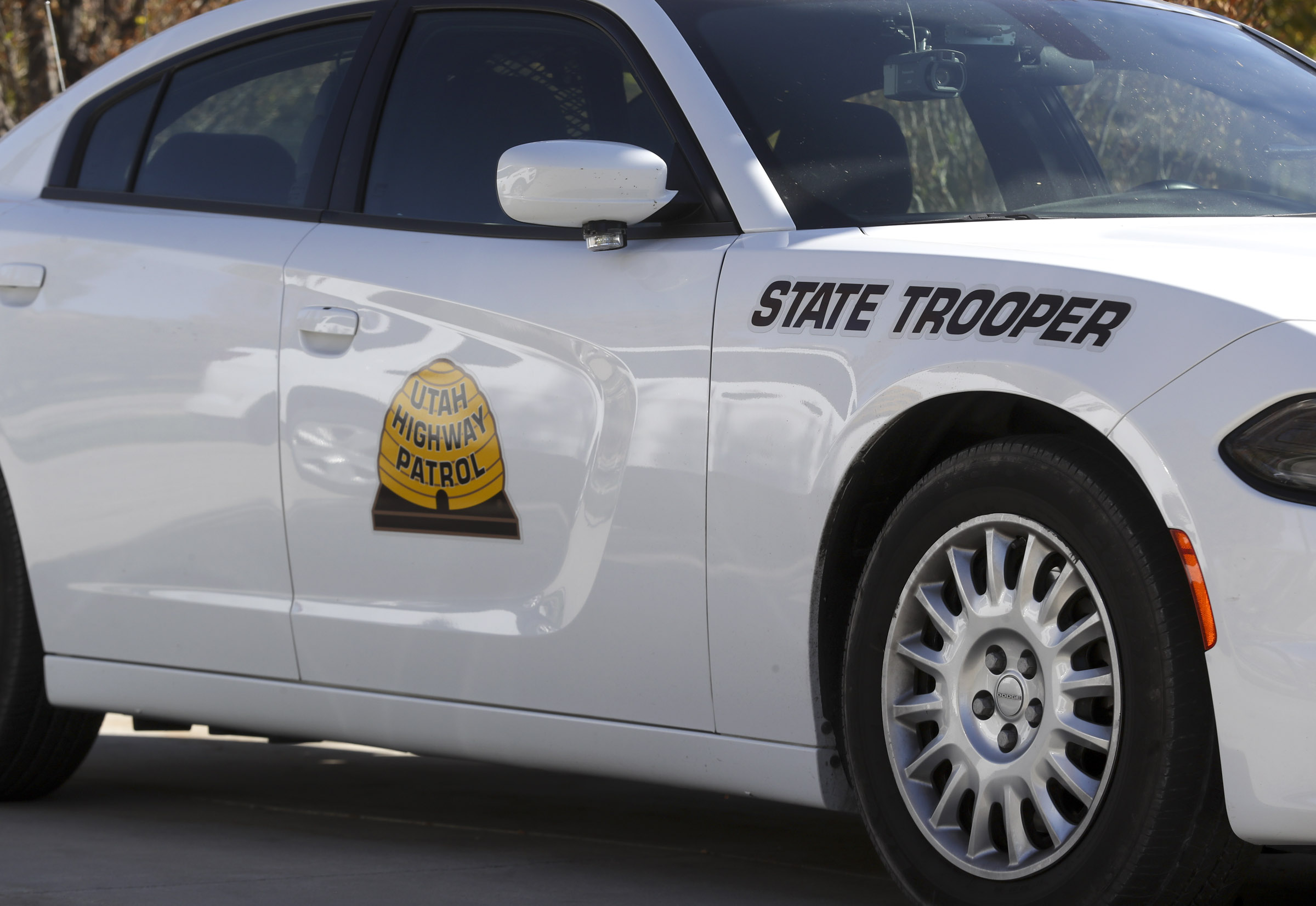 A Utah man was arrested Wednesday after police say he drove 120 mph in an effort to get away from a Utah Highway Patrol trooper, wrecked his car and then drove the wrong way on the freeway.
