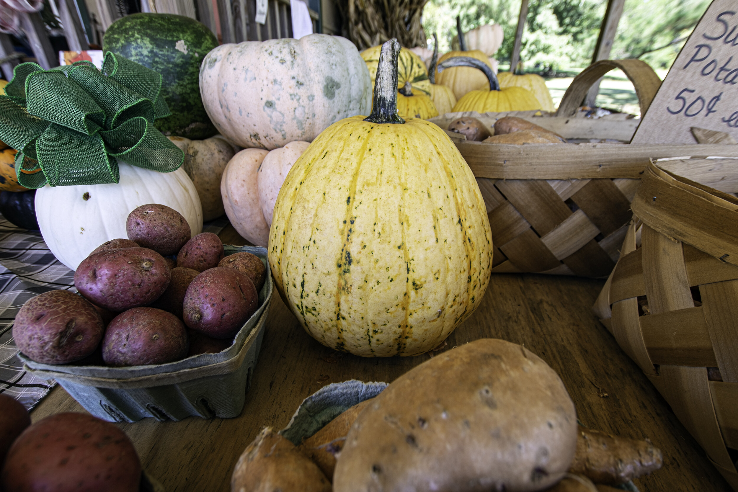 Before pumpkins, people carved scary faces into turnips and potatoes.