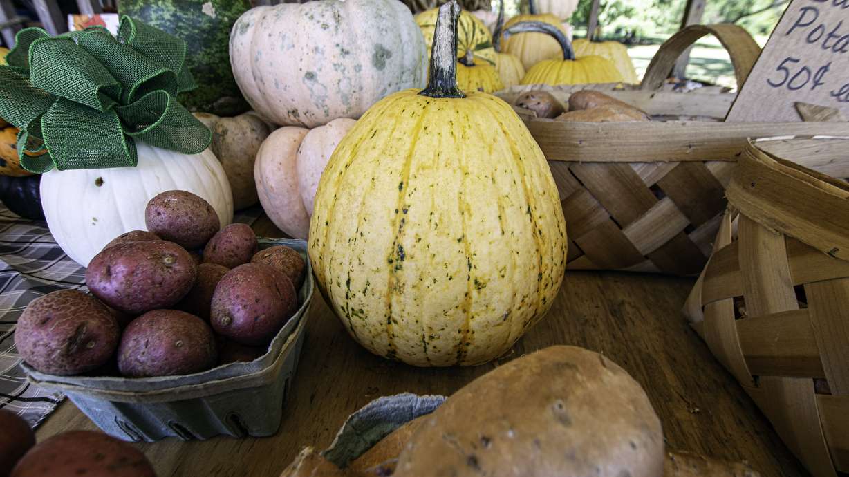 Before pumpkins, people carved scary faces into turnips and potatoes.