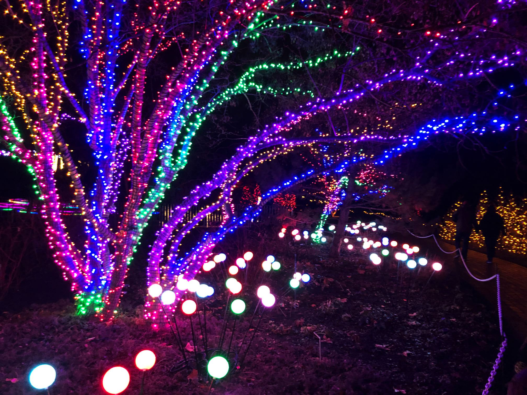 Best places along the Wasatch Front to get your Christmas light fix this season