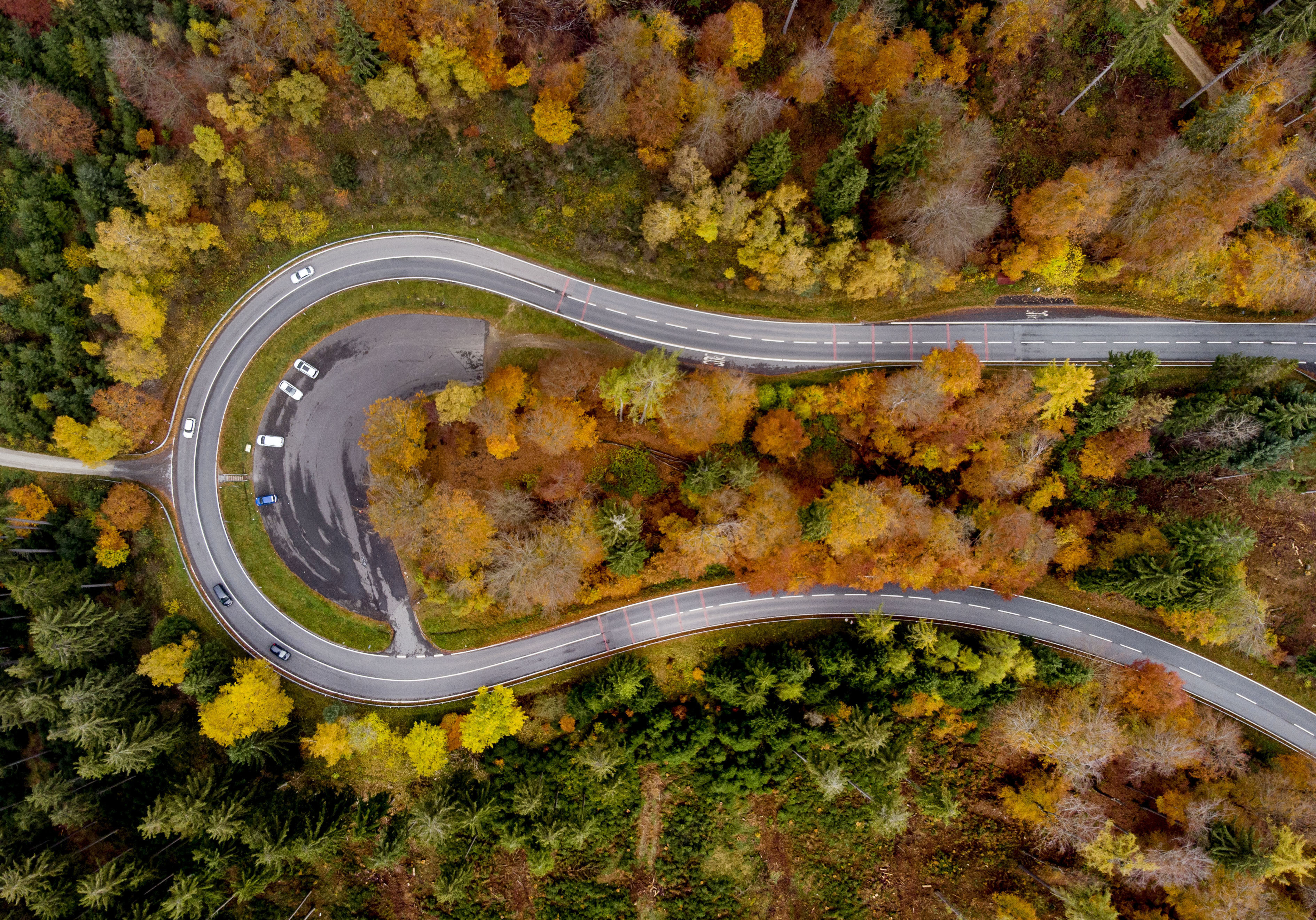 Colorful trees stand near a road through the Taunus region near Frankfurt, Tuesday, Oct. 2, 2021. More than 100 countries are pledging to end deforestation, which scientists say is a major driver of climate change. Britain hailed the commitment as the first big achievement of the United Nations climate conference in Glasgow. 