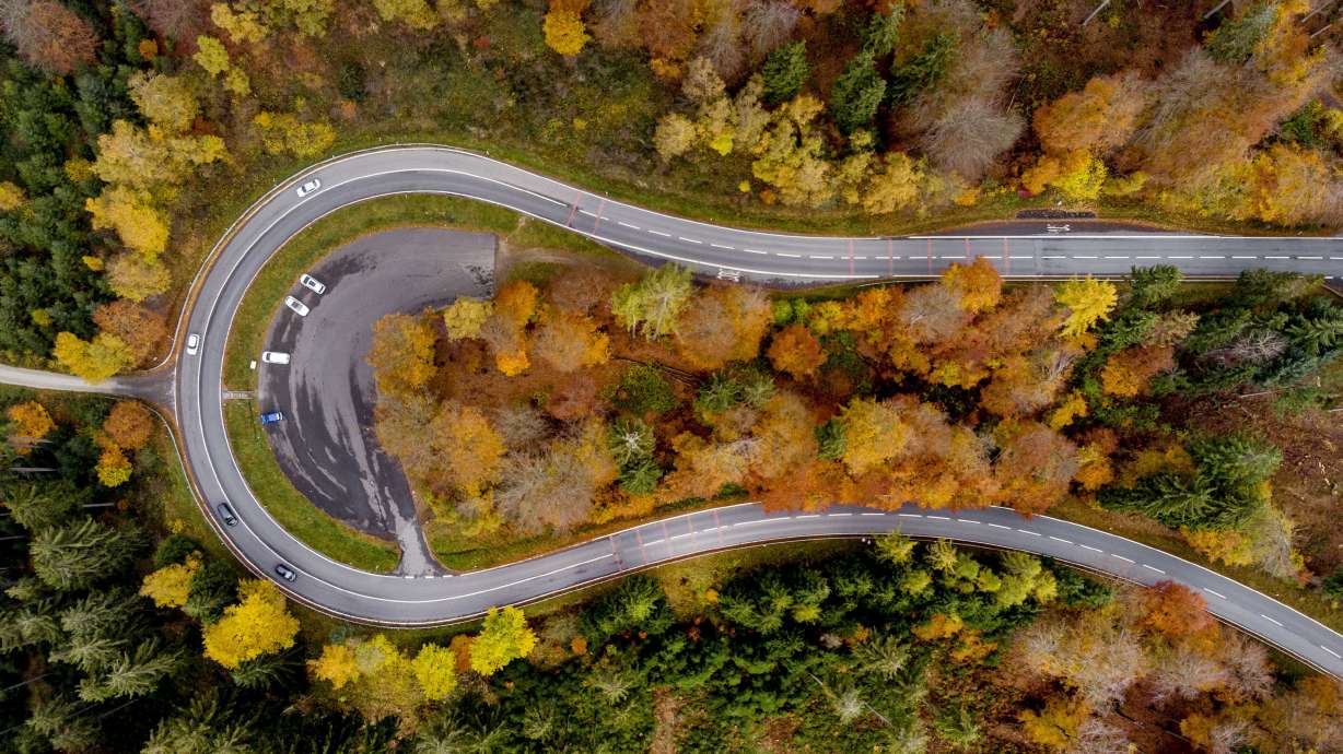 Colorful trees stand near a road through the Taunus region near Frankfurt, Tuesday, Oct. 2, 2021. More than 100 countries are pledging to end deforestation, which scientists say is a major driver of climate change. Britain hailed the commitment as the first big achievement of the United Nations climate conference in Glasgow.