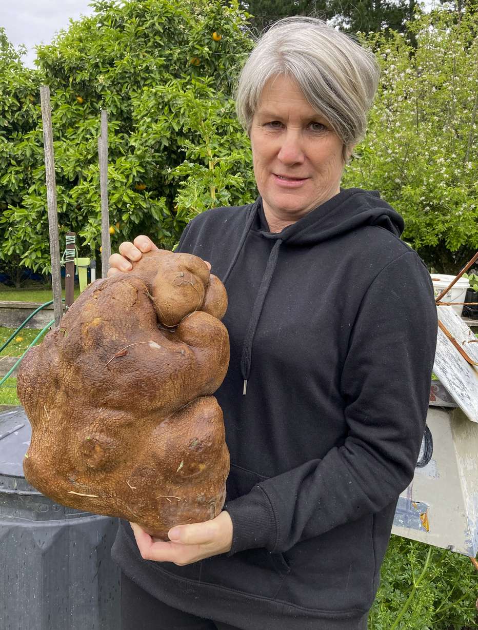 Donna Craig-Brown holds "Doug, "a large potato dug from her garden at her home near Hamilton, New Zealand, on Wednesday. From this angle, Doug looks like the Auguste Rodin sculpture "The Thinker," or perhaps a chubby gopher.