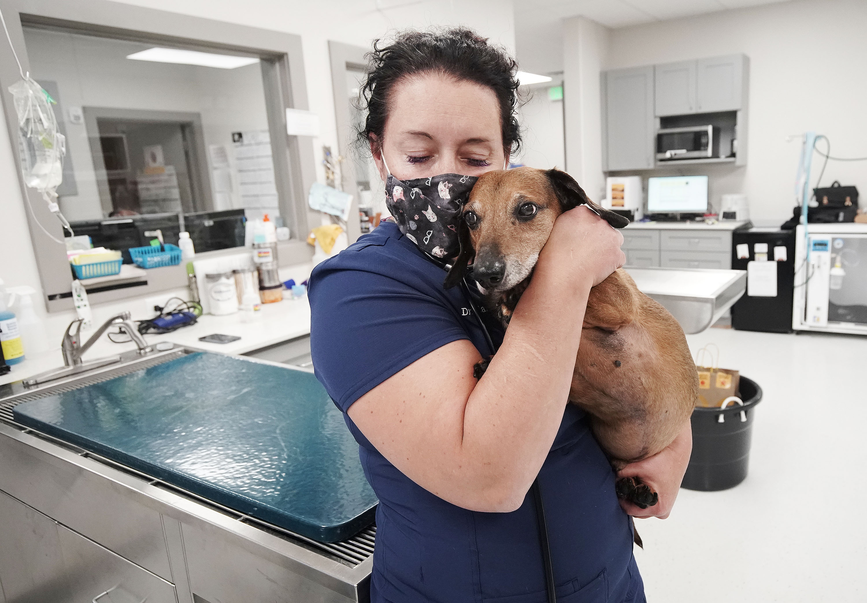 Front-line fatigue: Pandemic pressures pouncing on taxed veterinarians