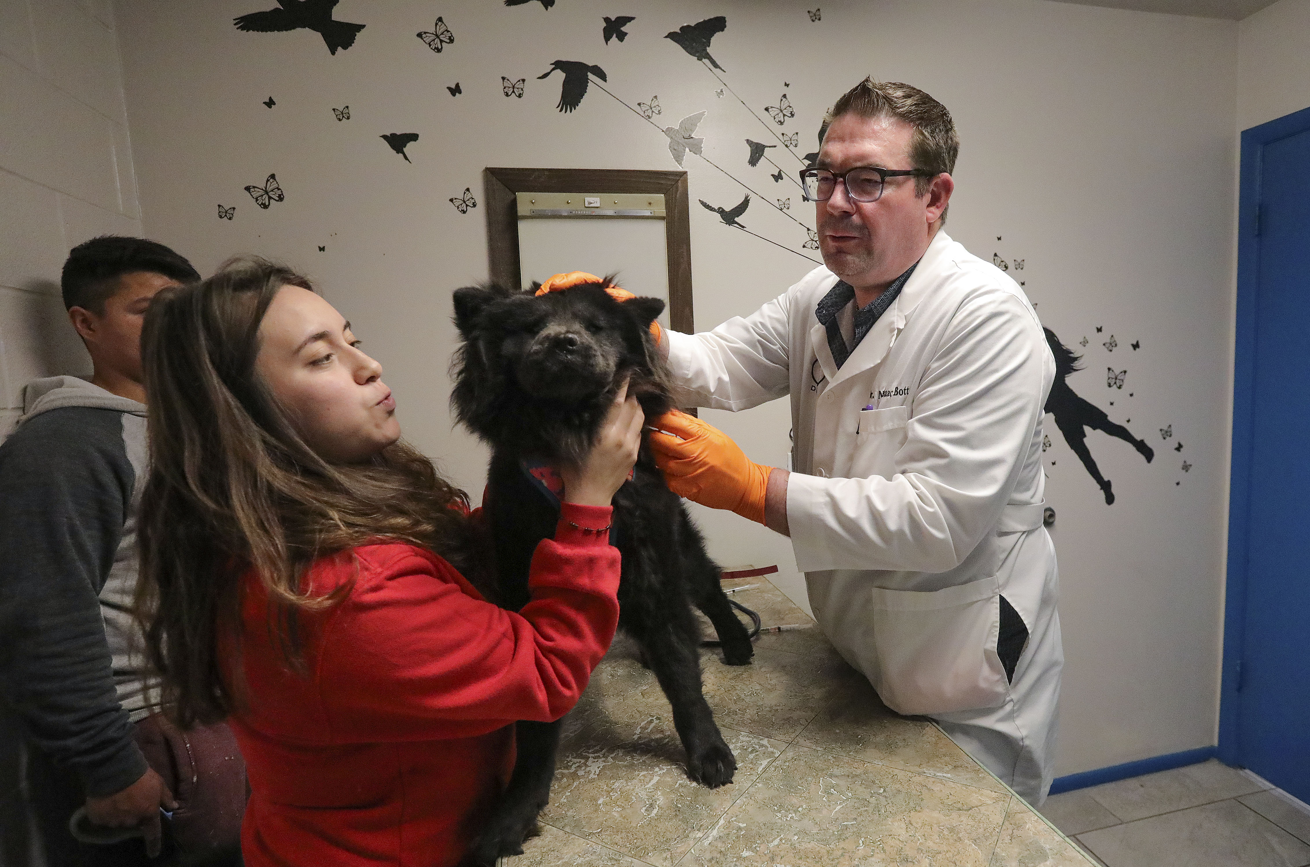 Dr. Isaac Bott, a veterinarian, right, gets ready to vaccinate Lunita against canine distemper, infectious hepatitis/adenovirus, parvovirus, parainfluenza and kennel cough as Lesly Ramirez helps hold Lunita at Mountain West Animal Hospital in Springville on Thursday.