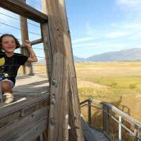 Why a private island in the Great Salt Lake went on the market