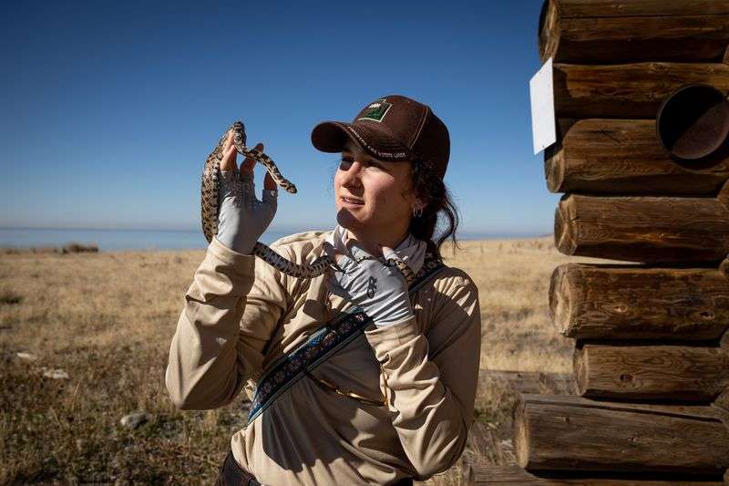 Marisa Weinberg, a minerals and surface lease analyst
for the Utah Division of Forestry, Fire and State Lands, checks out
a gopher snake found in an old cabin on Fremont Island while giving
journalists a tour on Thursday, Oct. 21.