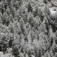 Rain, snow and slushy roads expected in Utah again as precipitation totals inch closer to average