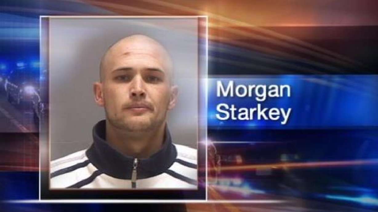 Thief Makes Embarrassing Mistake