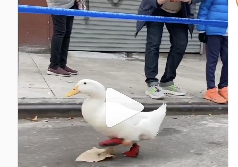 This is how you steal the hearts of America.