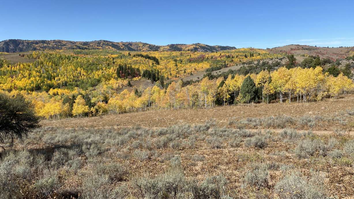 An undated image of the Cinnamon Creek area in southern Cache County. The Division of Wildlife Resources acquired the land Tuesday in an auction.