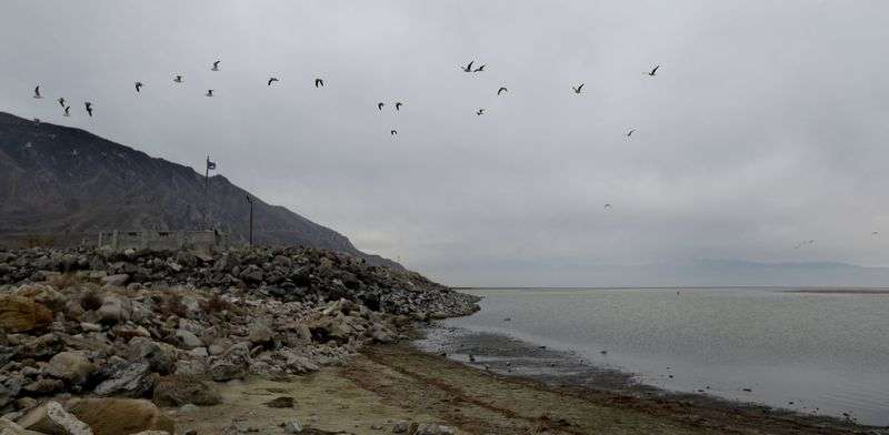 Birds fly at the Great Salt Lake on Friday. Sponsored by Rep. Blake Moore, R-Utah, the Saline Lake
Ecosystems in the bipartisan Great Basin States Program Act passed
the House Committee on Natural Resources with unanimous
support.