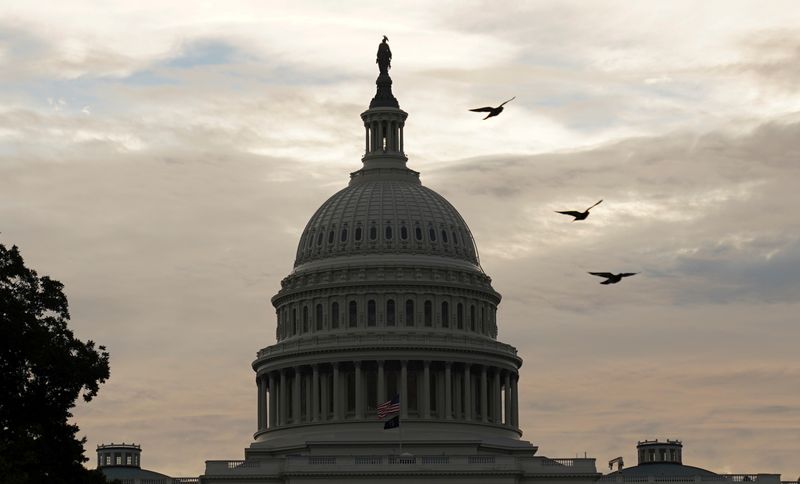Birds fly near the U.S. Capitol in Washington, Oct. 4. Fresh off securing House passage of President Joe Biden's social and environmental spending plan, his fellow Democrats are pressing ahead with it in the Senate, where the bill may undergo major changes on issues such as paid family leave to satisfy party centrists.