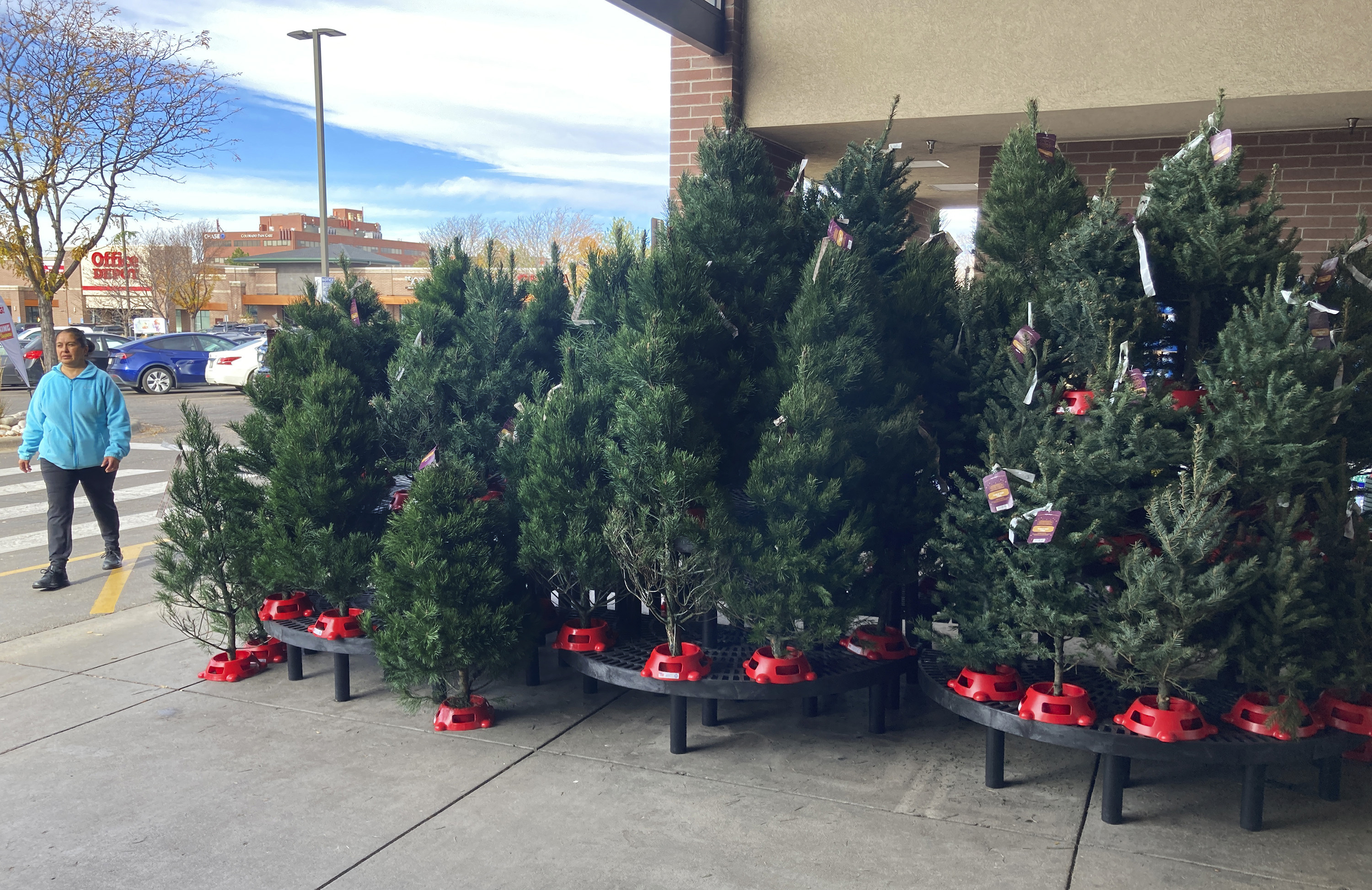A shopper passes by a display of Christmas trees outside the main entrance to a grocery store Nov. 16 in southeast Denver. Add Christmas trees to the list of items facing shortages and higher prices this year. 