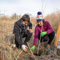 Volunteers trade Black Friday shopping for 'green Friday' planting