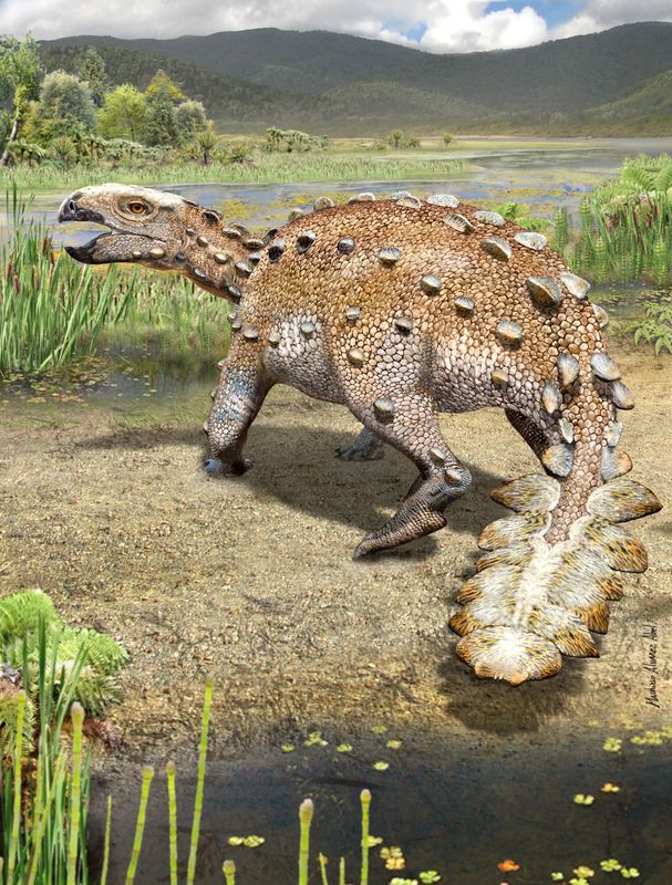 The newly identified Cretaceous Period armored dinosaur Stegouros elengassen, whose fossilized remains were discovered in Chile, is seen in an undated artist's rendition.
