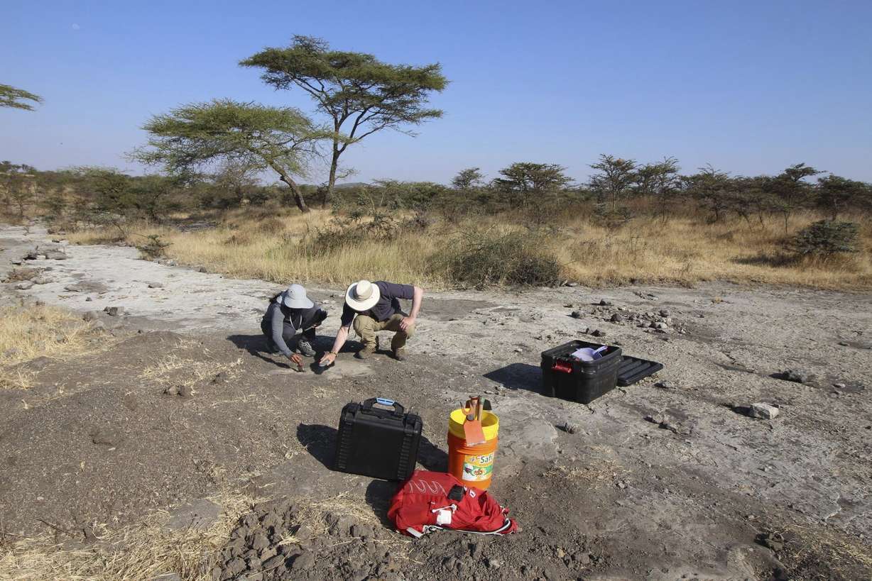 Anjali Prabhat and Jeremy DeSilva, associate professor of anthropology at Dartmouth, excavate Site A footprints at Laetoli, Tanzania.
