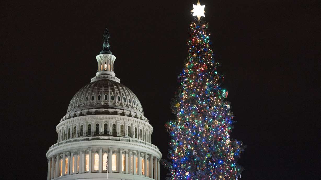 The 2021 U.S. Capitol Christmas Tree in Washington, Dec. 1, 2021. This year's tree, a Sitka spruce from the Tongass National Forest in Alaska, will stop at Wheeler Historic Farm in Murray for several hours on Saturday.