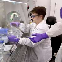 Recursion Pharma scores multibillion-dollar mega deal with Swiss drug titan
