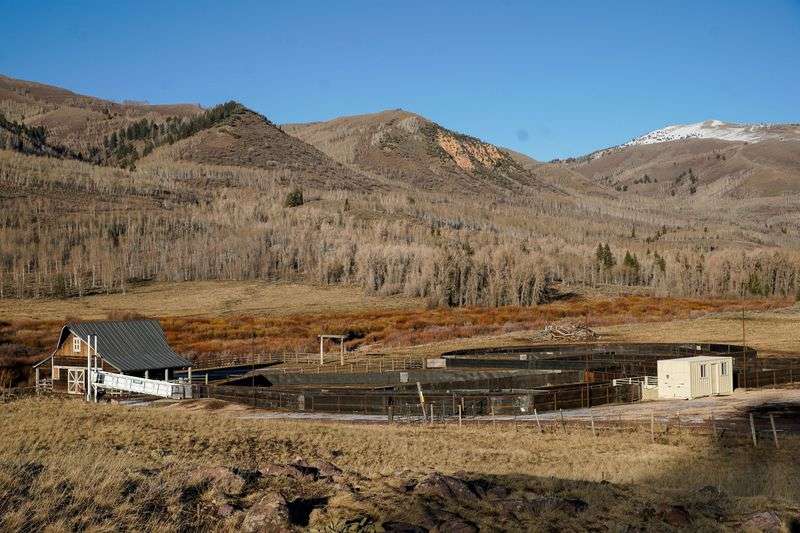 A corral inside Thousands Peaks Ranch, where the TV
series "Yellowstone” was shot, is pictured in Oakley, Summit
County, on Dec. 2.