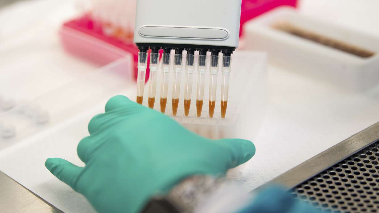 Scientists find potential cure for COVID-related loss of smell Scientists find potential cure for COVID-related loss of smell