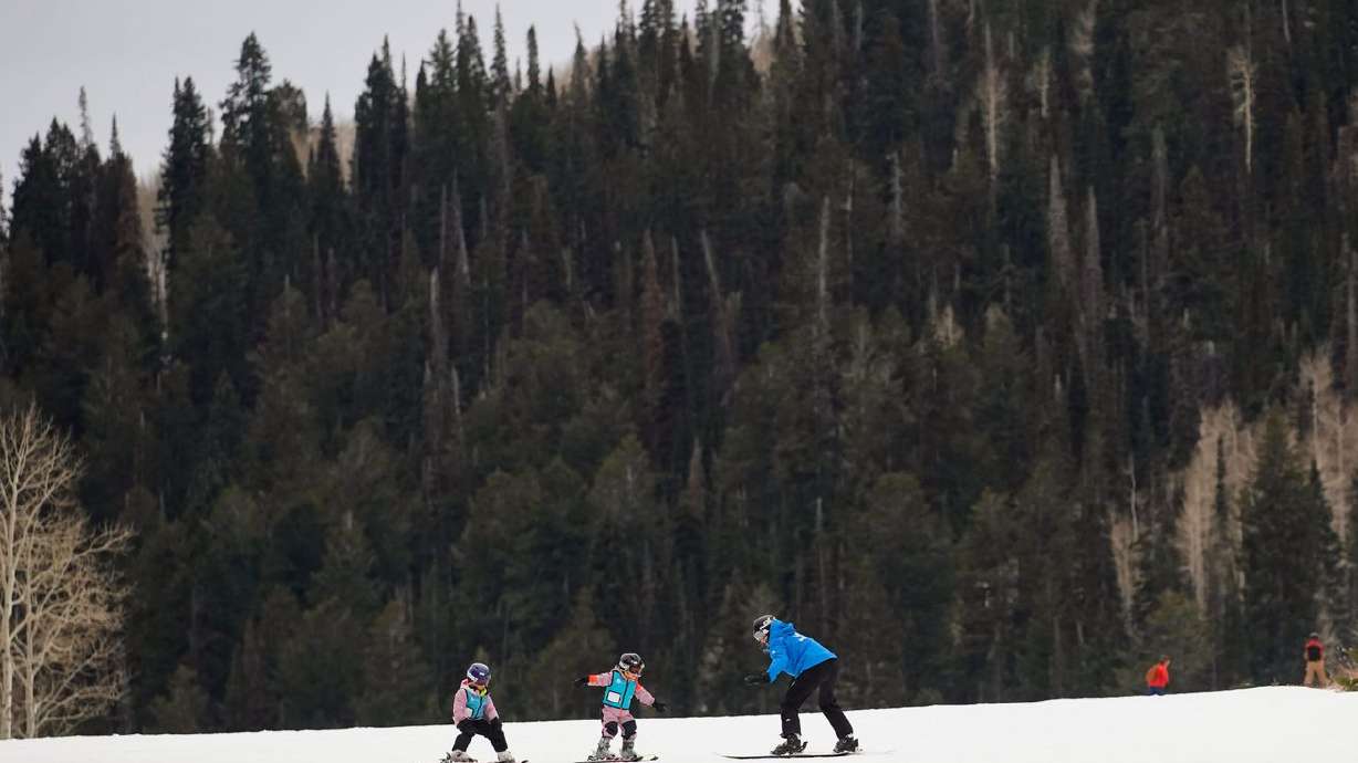 People ski with a background of bare trees at Solitude
Mountain Resort on Dec. 6, in Big Cottonwood
Canyon.