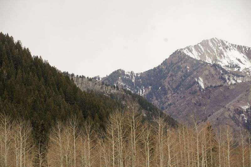 Part of Big Cottonwood is pictured on Dec. 6, in Big Cottonwood Canyon.
