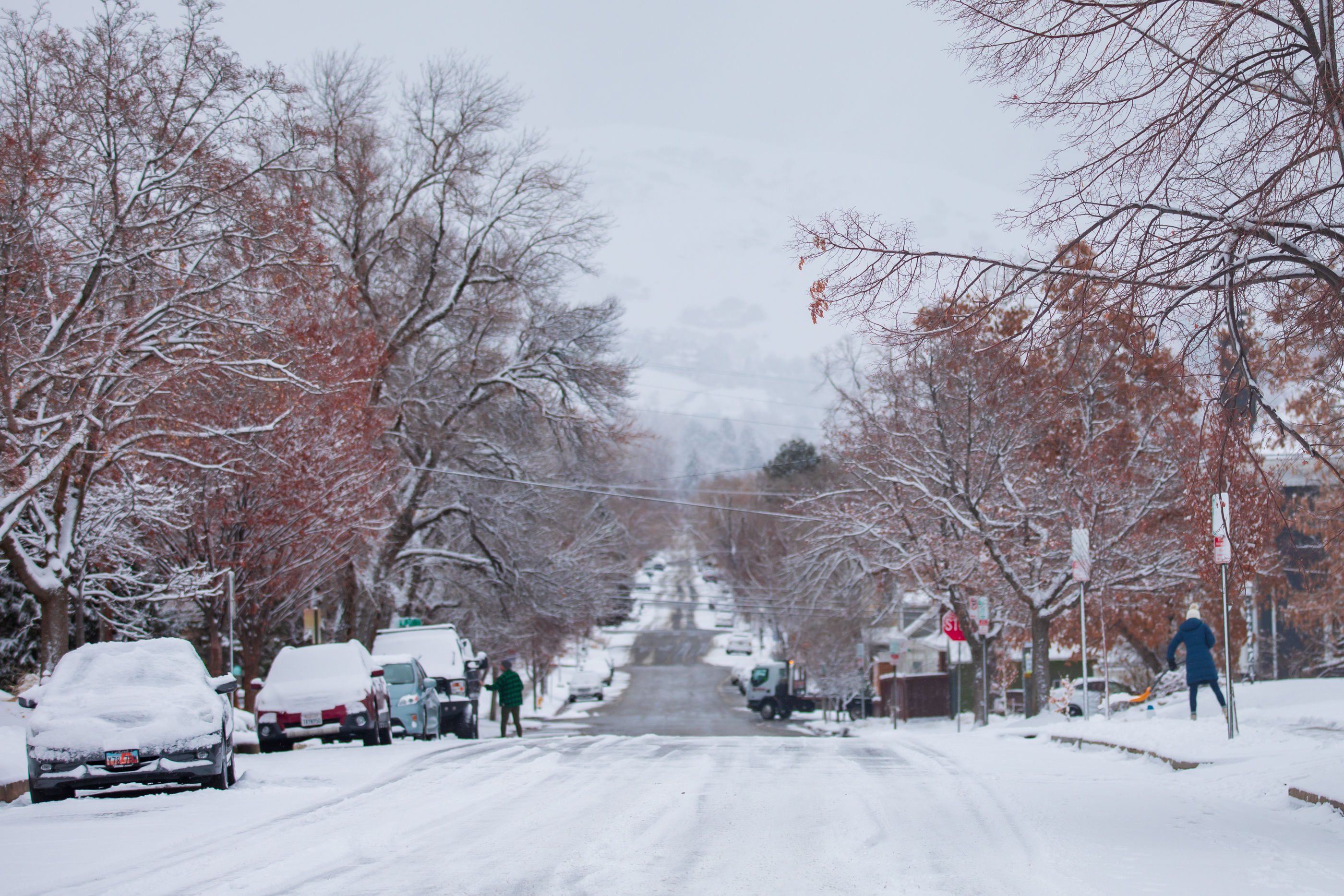Residents clear snow from their sidewalks and cars in Salt Lake City's Avenues neighborhood Friday.