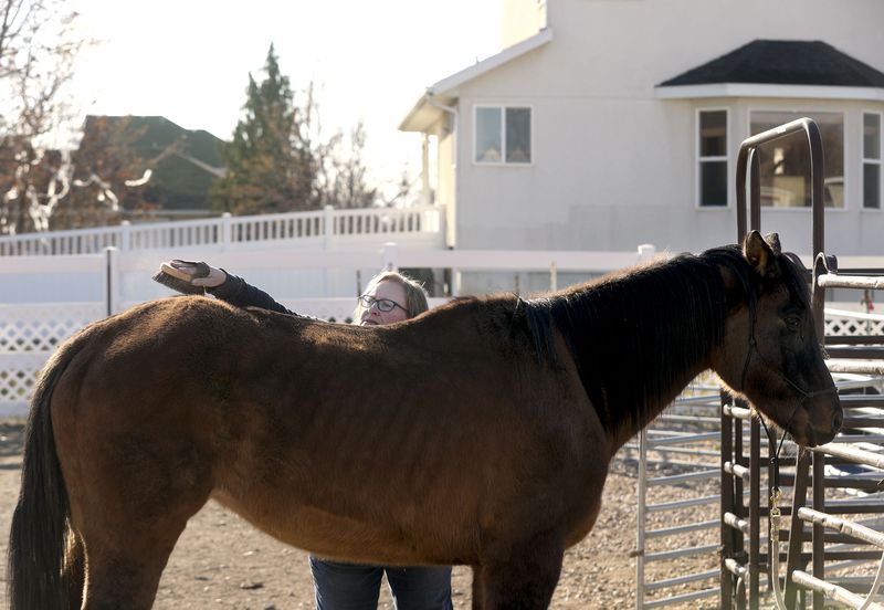Marie Gessel brushes Sophie at her home in Riverton on
Friday, Dec. 3, 2021.