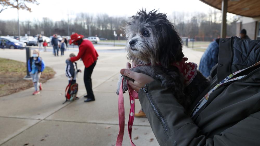 Trixie, a therapy dog, waits to greet students at the early elementary wing of the Paw Paw Elementary School on Dec. 2, in Paw Paw, Michigan. Principal Melissa Remillard, in red in background, and other staff members also greet students.