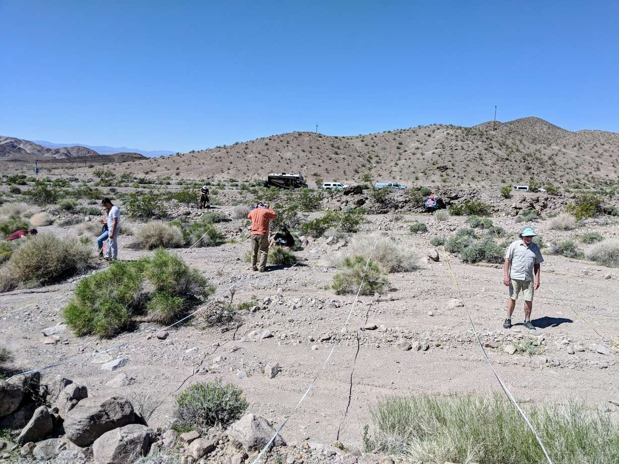 An undated photo of researchers conducting a field survey at a site in the Mojave Desert.