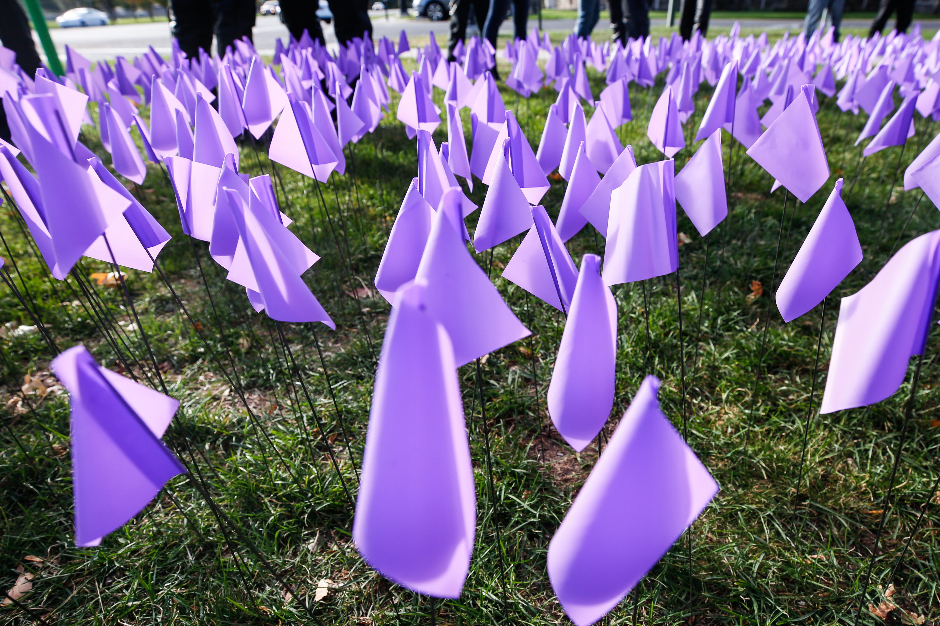 Purple flags at Liberty Park in Salt Lake City in recognition of the thousands of people in Utah impacted by domestic violence each year. A poll shows about a third of Americans believe the topic is too taboo to discuss.