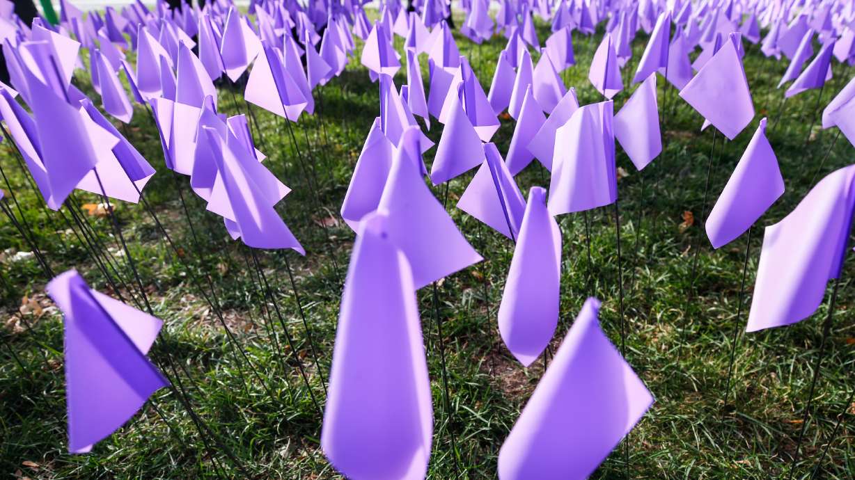Purple flags are placed at Liberty Park in Salt Lake City on Oct. 17, 2020, in recognition of the thousands of individuals in Utah who are impacted by domestic violence each year. The YCC Family Center in Ogden is calling for more funding for transitional housing as it struggles to meet the needs of the community with limited capacity.