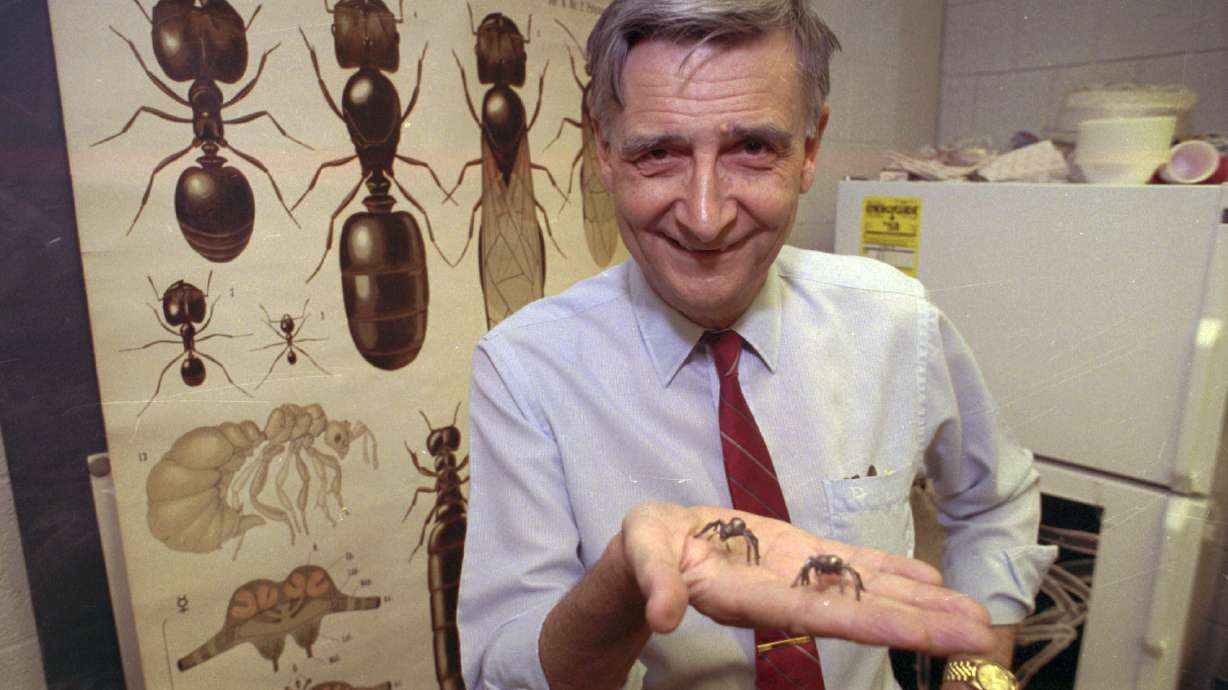 Edward O. Wilson, co-author of "The Ants," which won the Pulitzer Prize for general non-fiction, poses for a portrait on June 10, 1991. Wilson died on Sunday. He was 92.