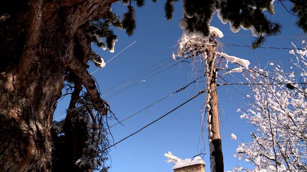Barbara North said a Rocky Mountain Power utility crew told her this pole posed a hazard when they came out to trim back some branches around the power lines.