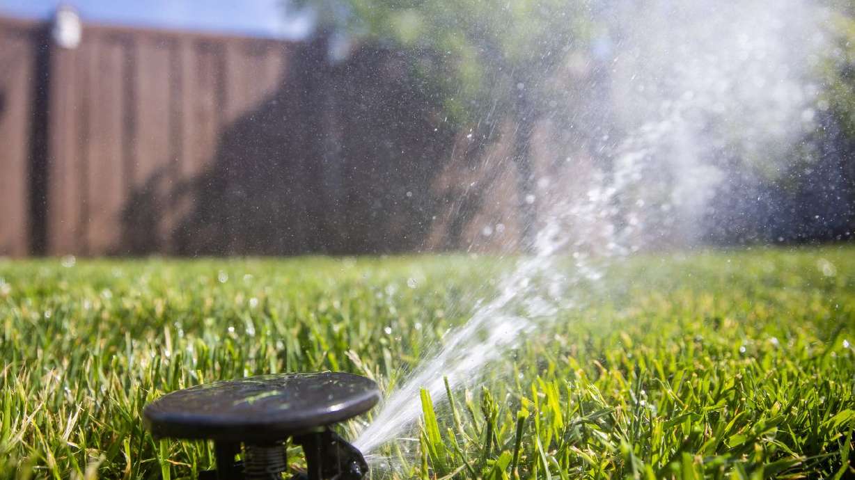 A House bill has been filed that would prohibit government and private entities from requiring property owners to plant or maintain lawns.