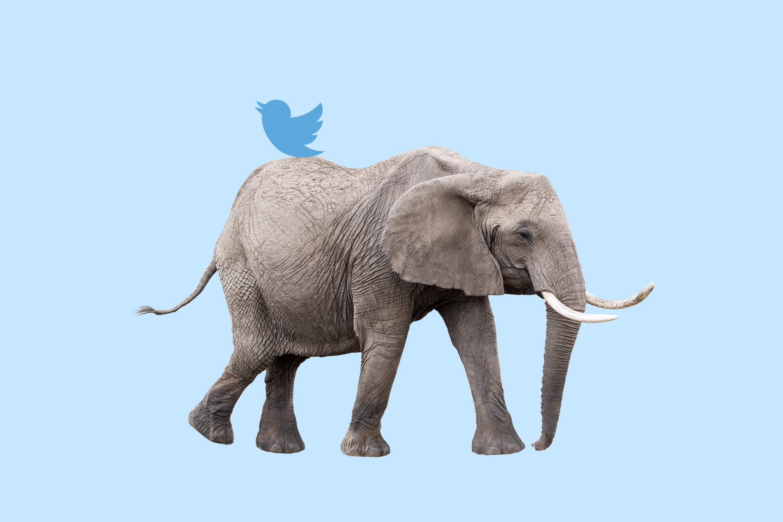 Should conservatives follow Joe Rogan to Gettr? The case for staying on Twitter