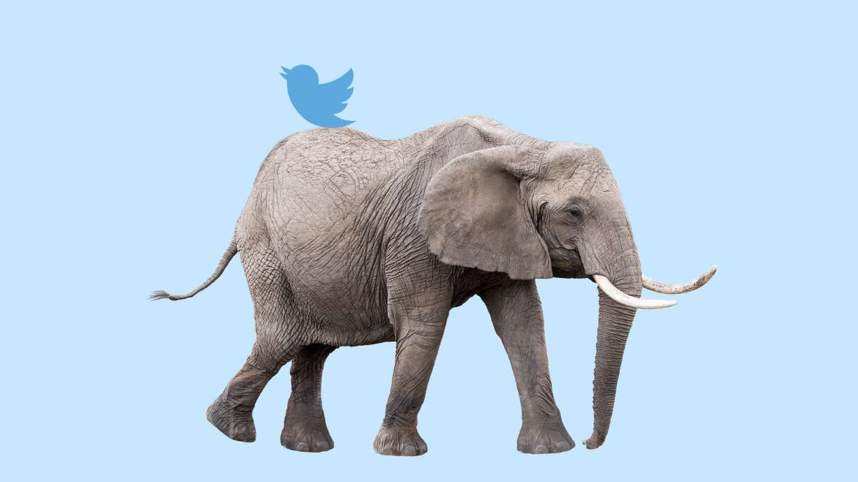 Should conservatives follow Joe Rogan to Gettr? The case for staying on Twitter