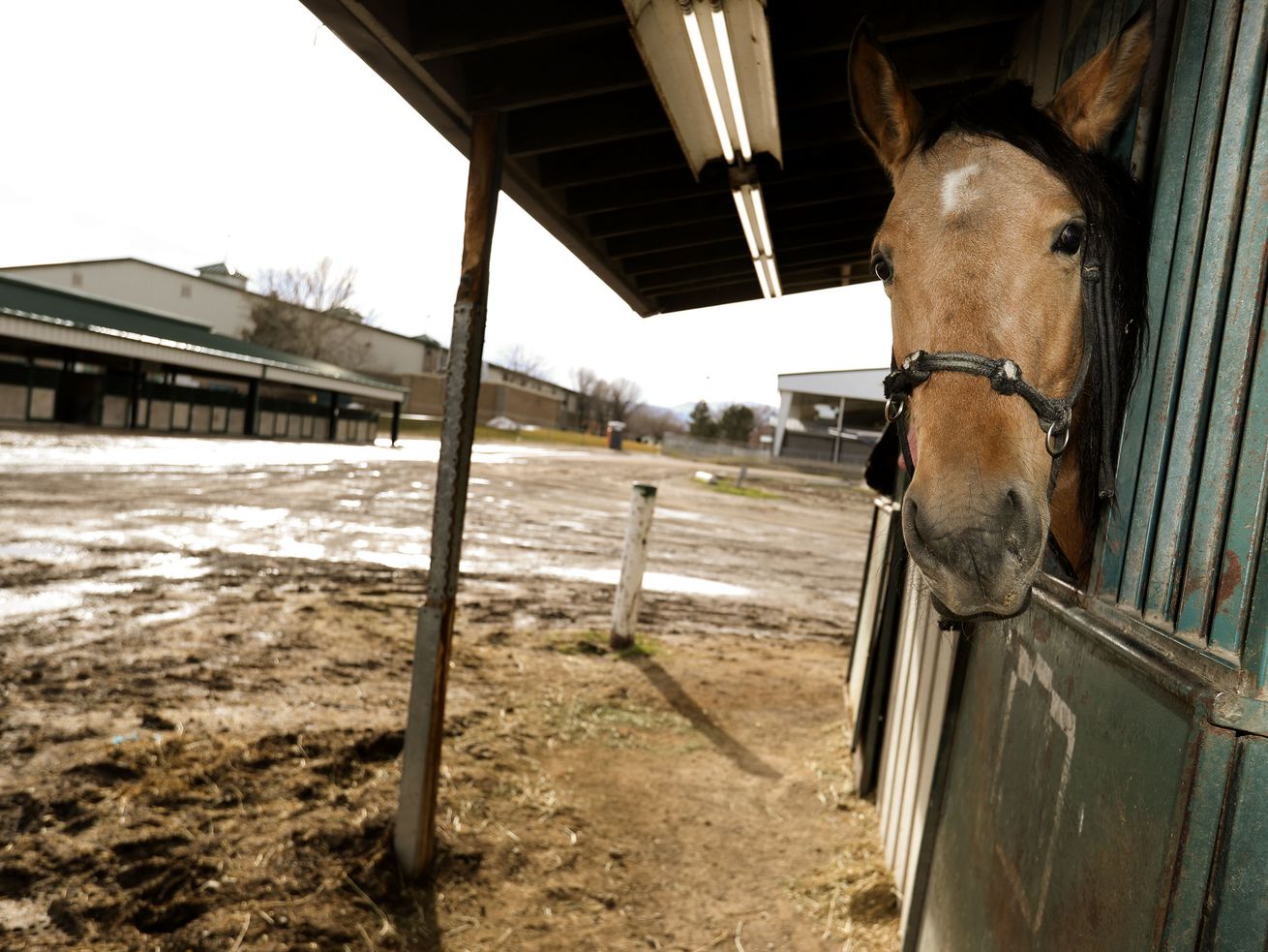 The Salt Lake County Equestrian Center in South Jordan is pictured on Friday. Utah State University will assume ownership of the center after years of debate over the viability of the facility.