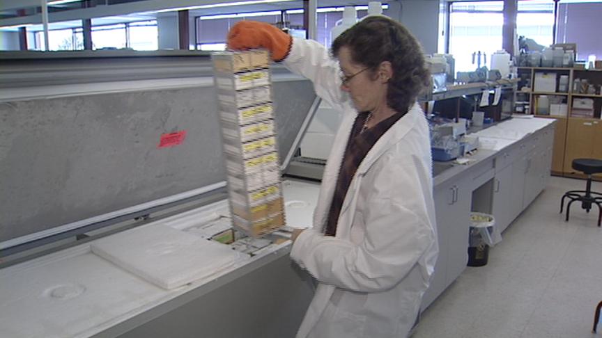 Utah State University Helps Solve Iowa Turkey Crime