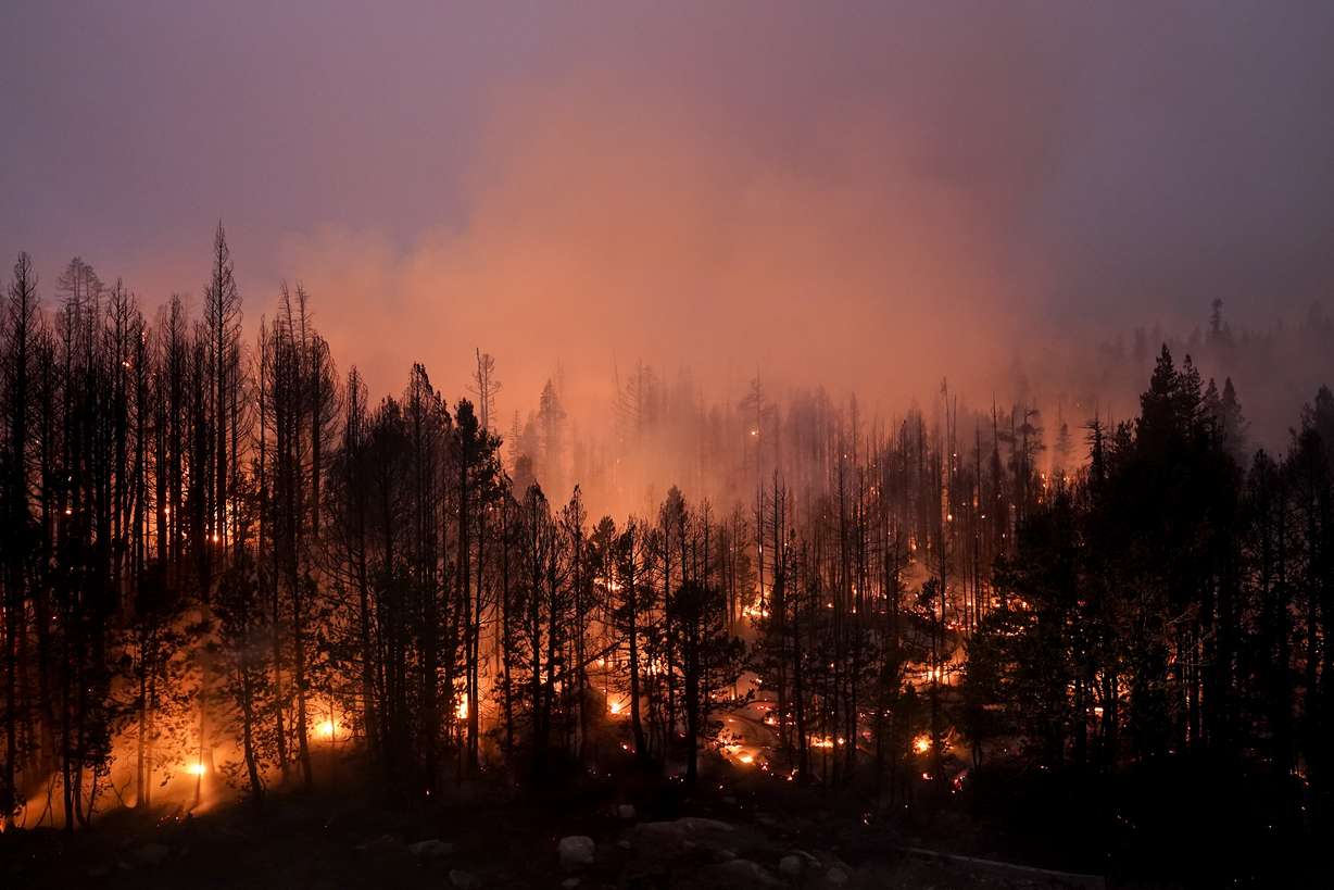 Trees scorched by the Caldor Fire smolder in the Eldorado National Forest, Calif., Friday, Sept. 3, 2021. The Biden administration wants to thin more forests and use prescribed burns to reduce catastrophic wildfires as climate changes makes blazes more intense.