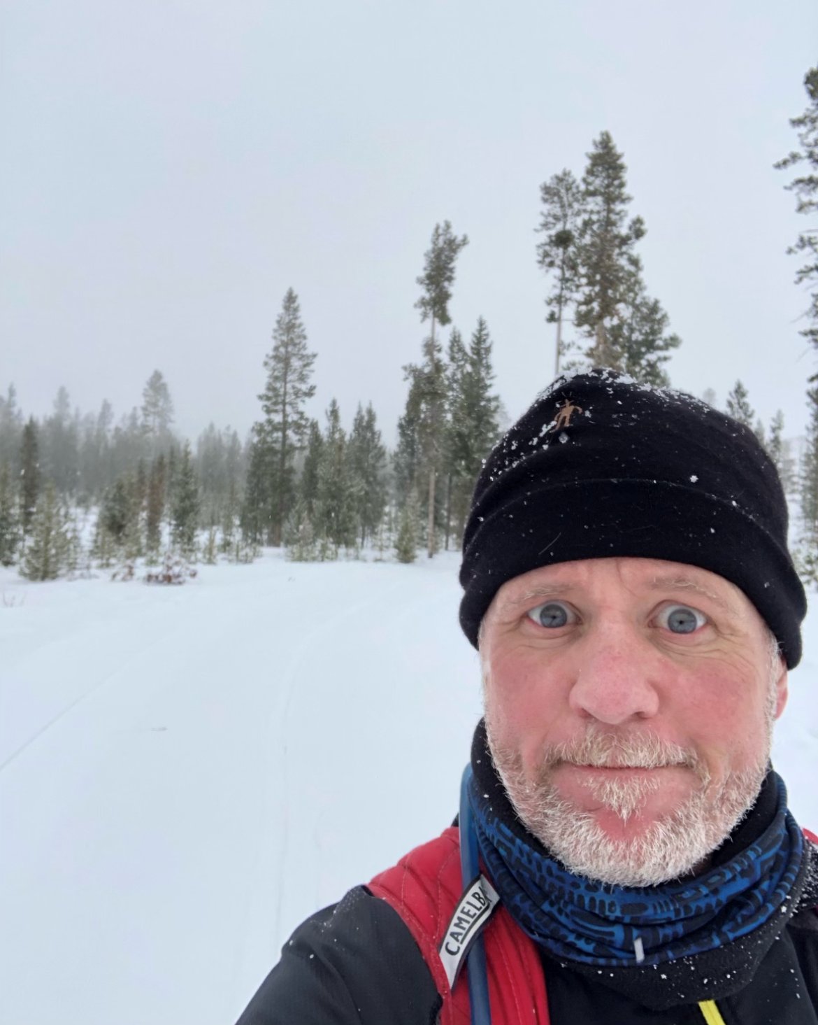 A silver alert has been issued for an endangered 53-year-old man last seen in the Federal Heights area of Salt Lake City. Donald Leslie Brown was with his dog on the Limekiln Gulch Trail in Salt Lake City around 3 p.m. Sunday.